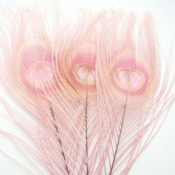 Meet your Posher, Caroline - Picture 1 of 1